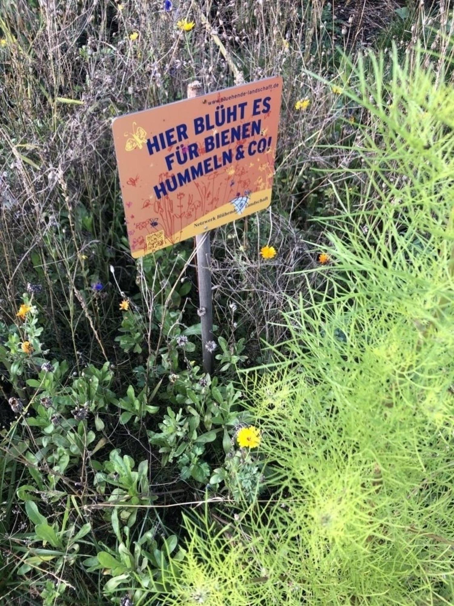 Meeresperle 5 Meeresrauschen Klutz Εξωτερικό φωτογραφία